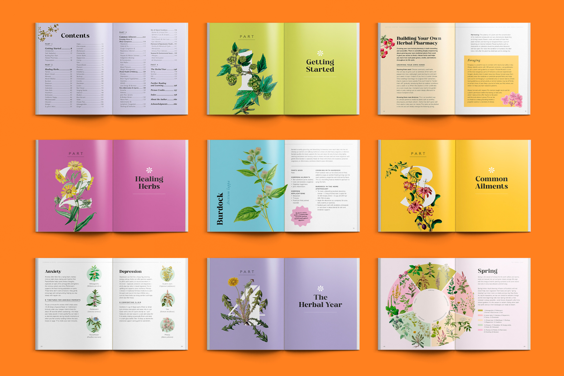Publishing design, modern book design, spread design, intro design, publishing design for Plant Pharmacy book