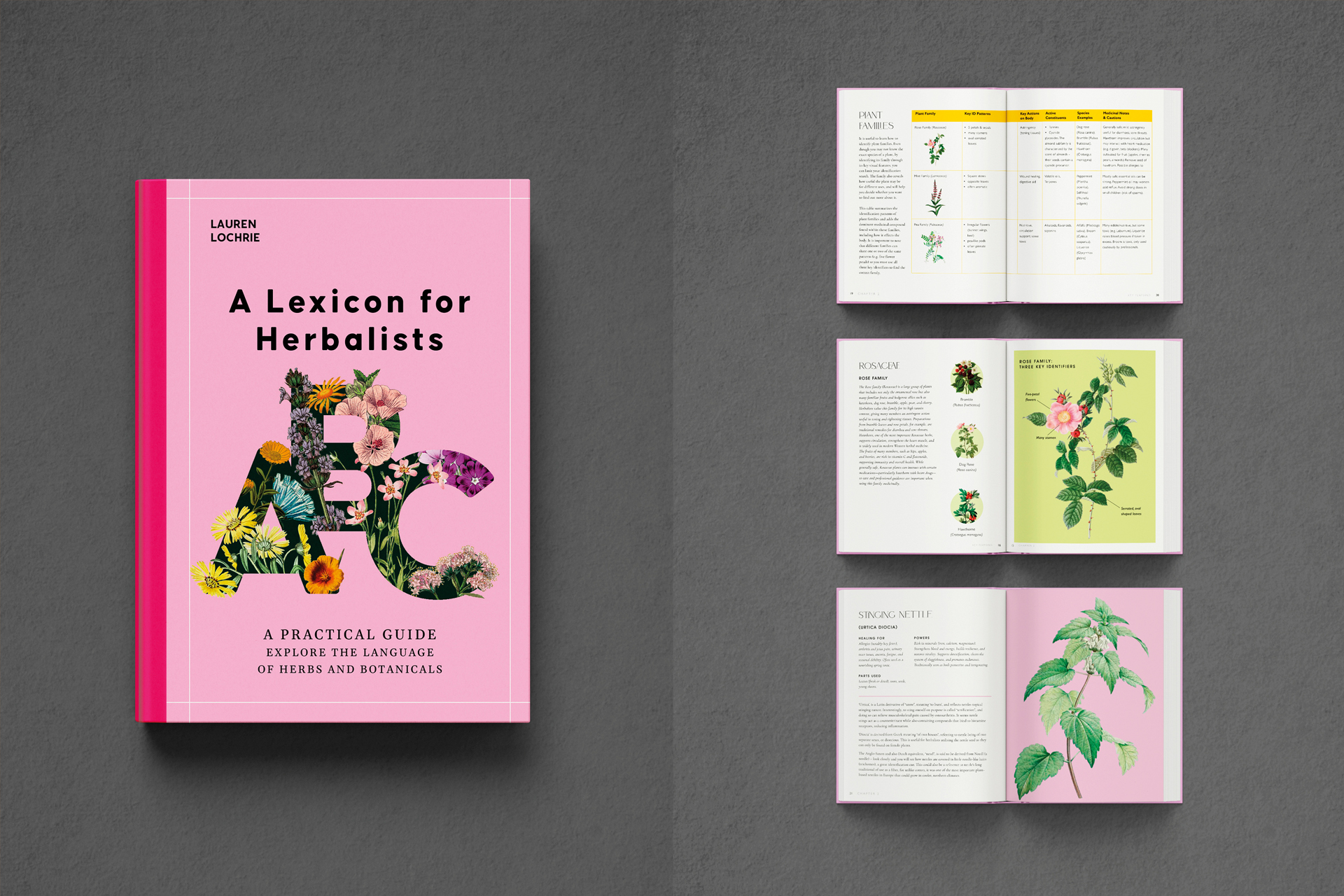 A lexicon for herbalists jacket and spread designs - modern publishing design